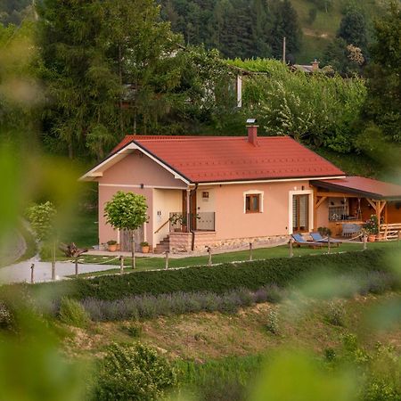 Hill Cottage Haloze Gruskovec Exterior photo